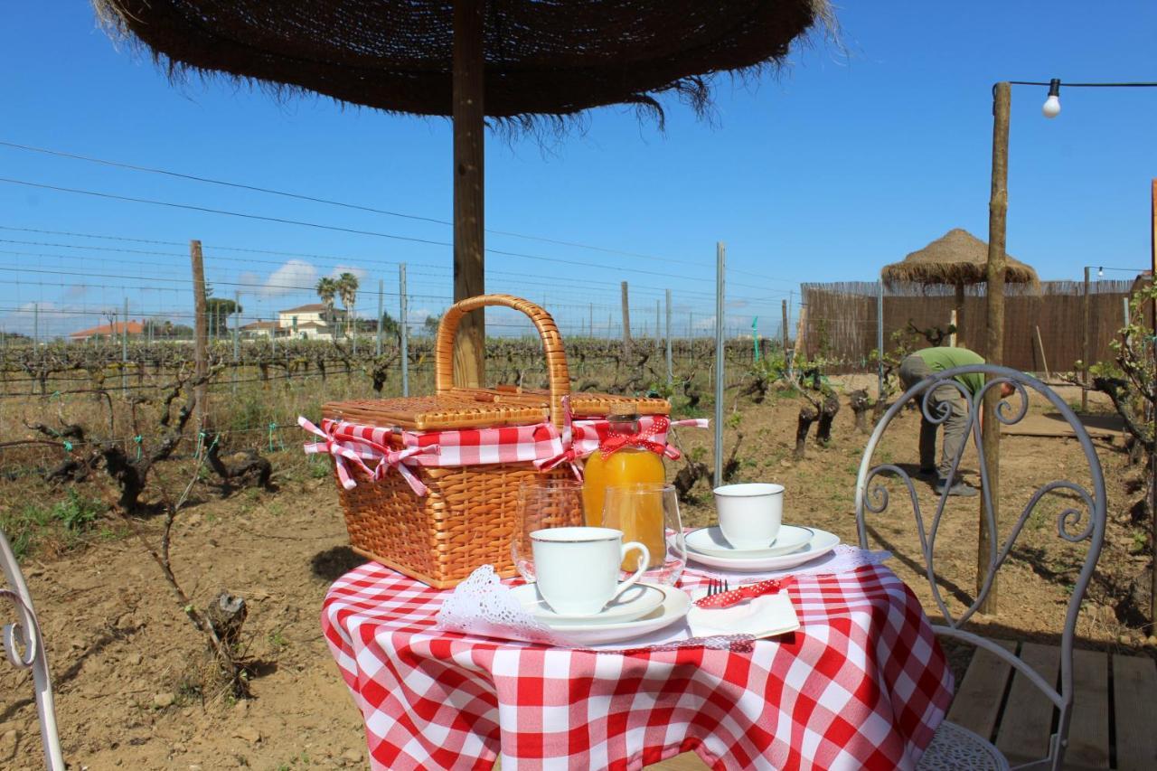 Homestay Moment's In Nature